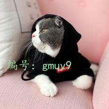 Ȼ
